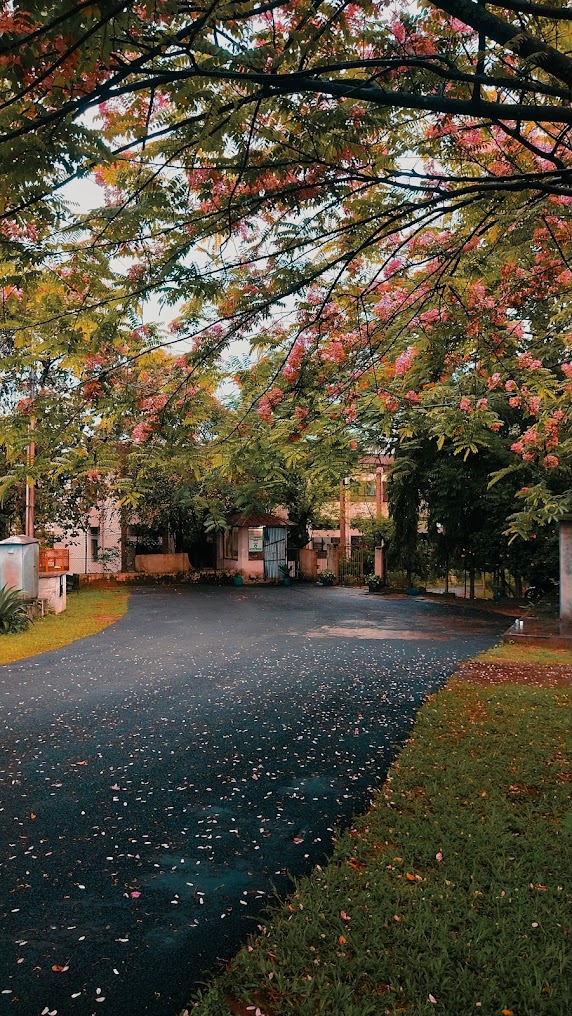 Assam University Image 7