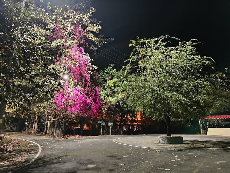 Assam University Image 17