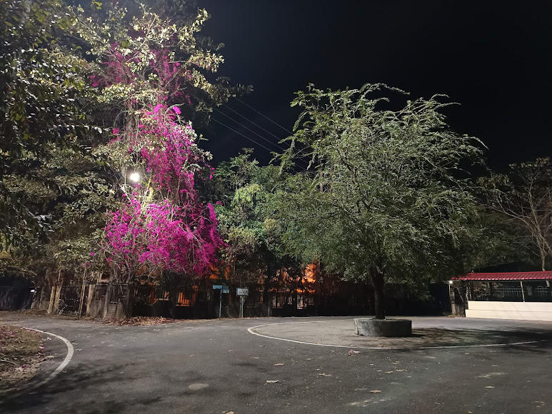 Assam University Image 21