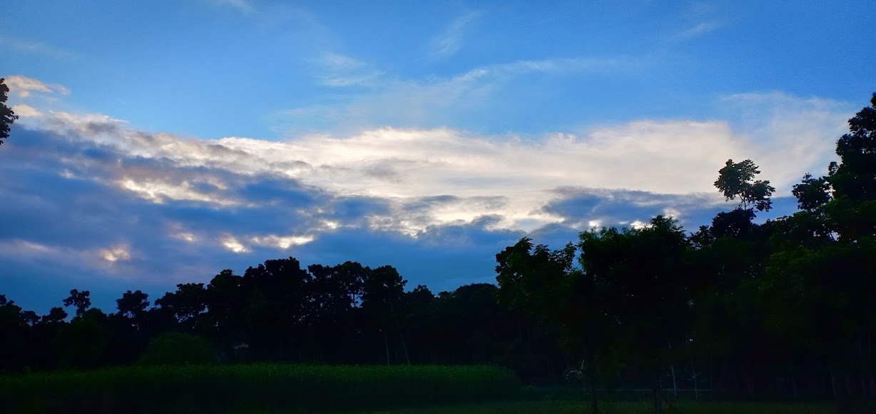 BIT Dakshin Dinajpur Image 14