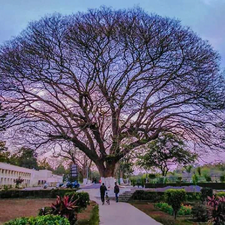 BIT Mesra Kolkata Image 18