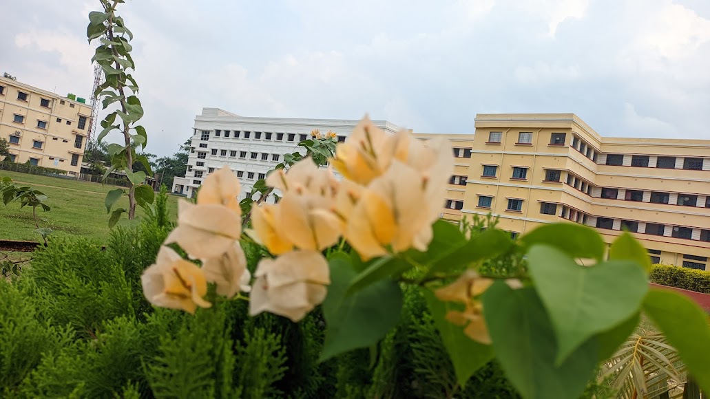 BPIE Bishnupur Image 4