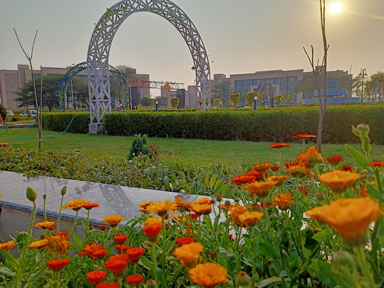 CUH Mahendragarh Image 25