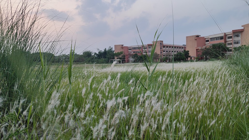 CIT Kokrajhar Image 4