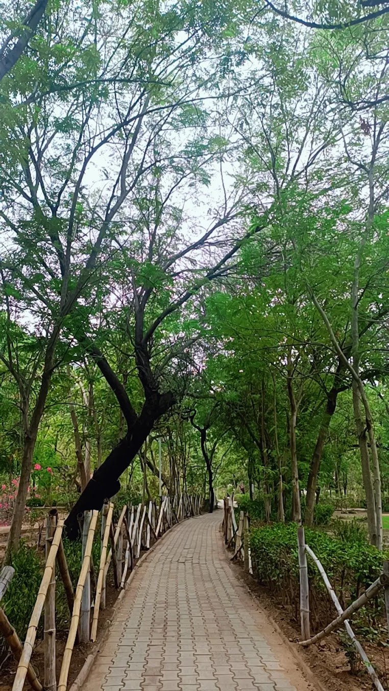 DA-IICT Gandhinagar Image 12