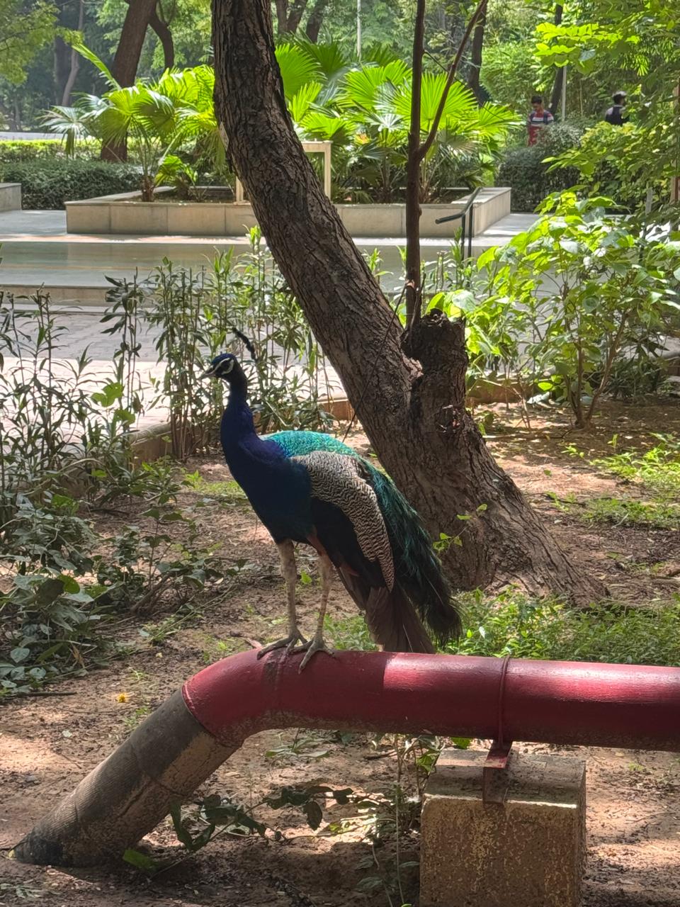 DA-IICT Gandhinagar Image 20