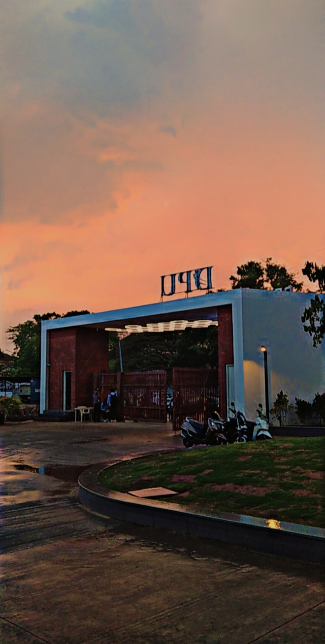 DY Patil Pimpri Image 4