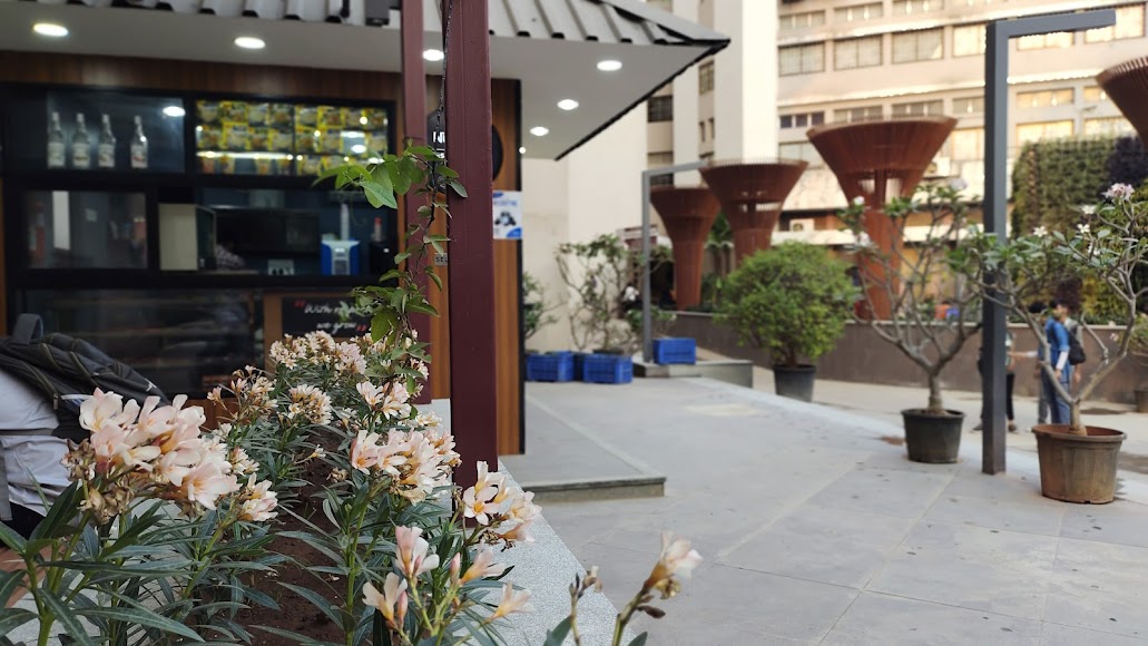 DY Patil Pimpri Image 16