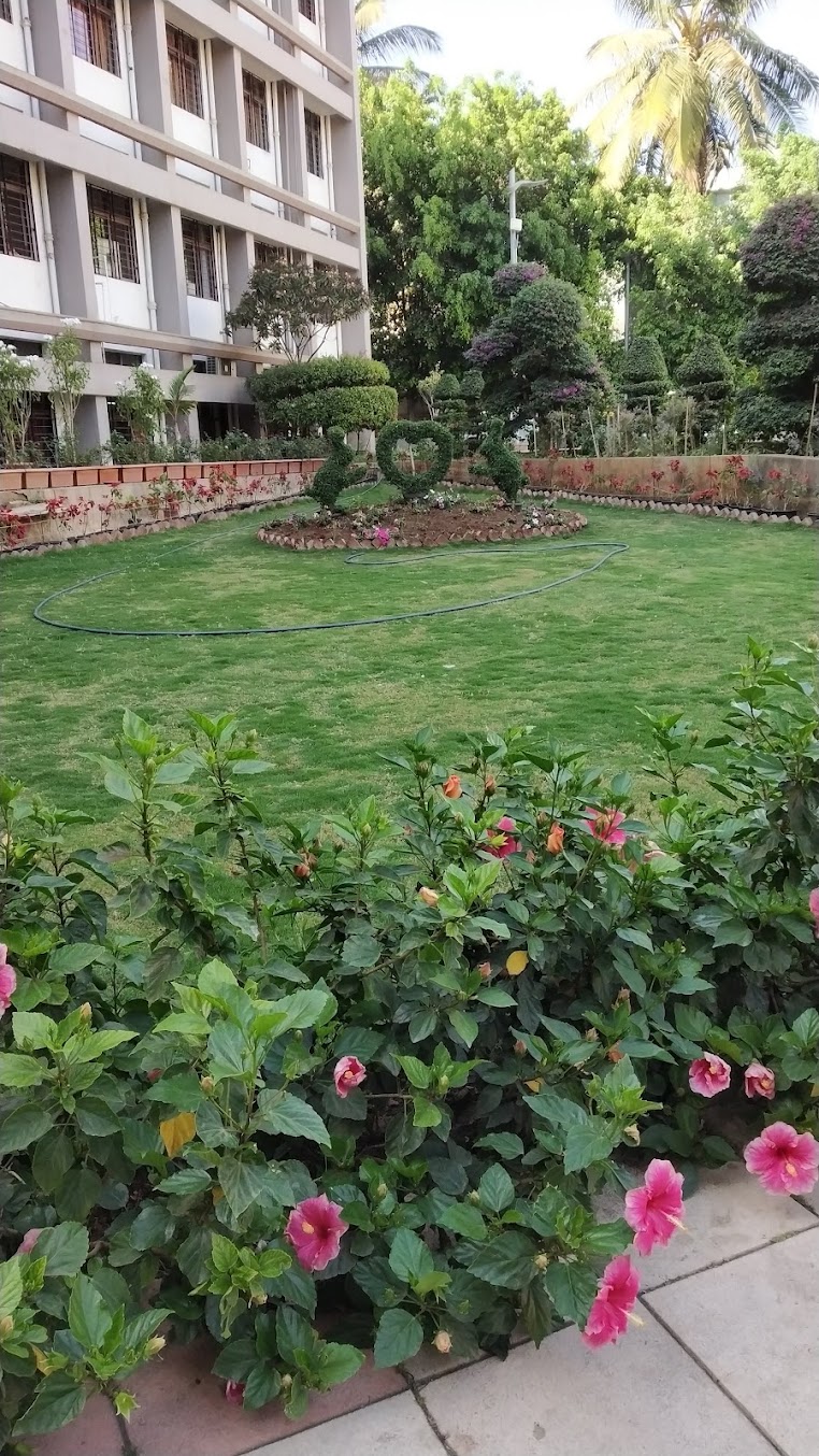 DY Patil Pune Image 12