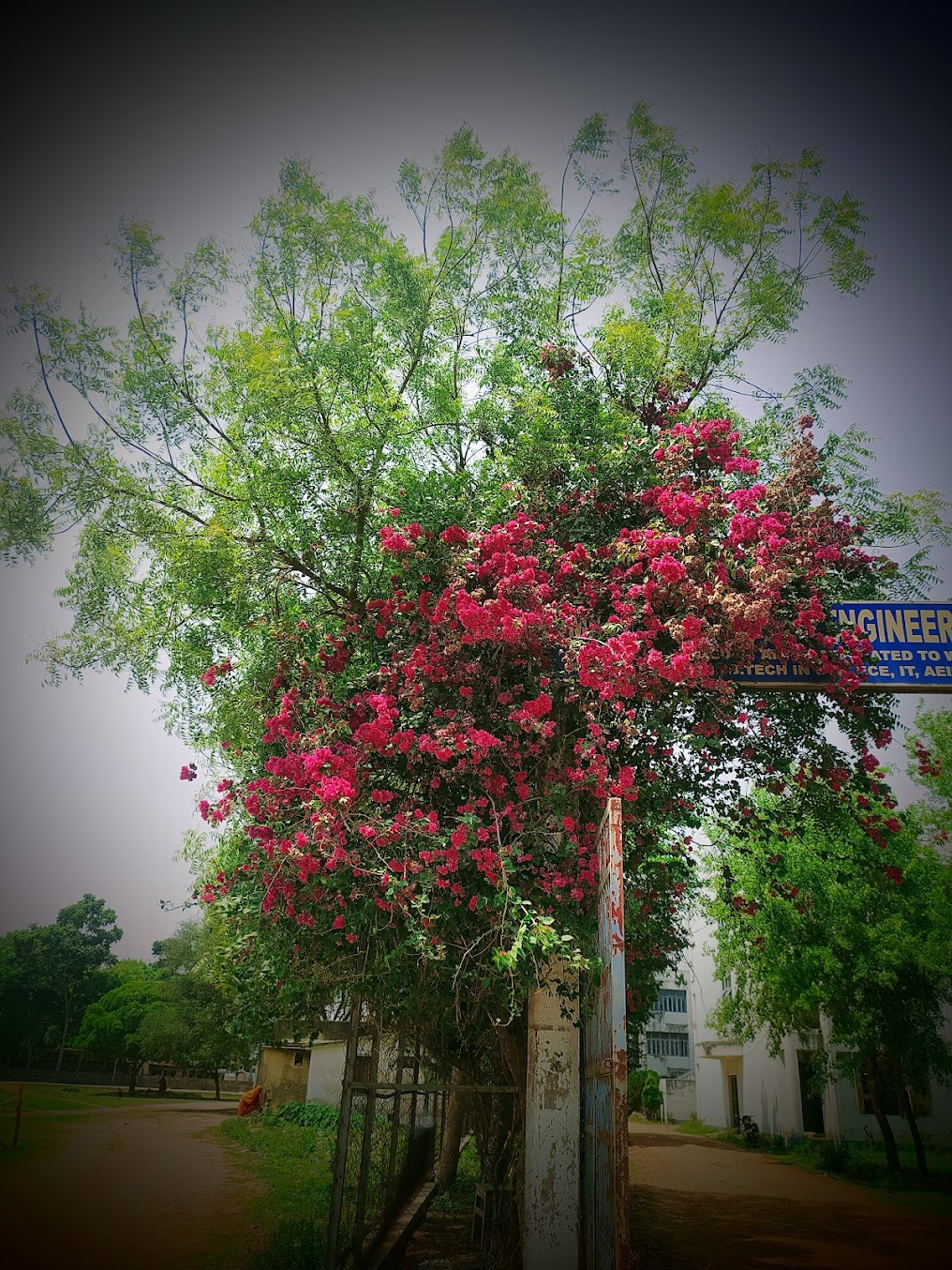 DIT Murshidabad Image 10