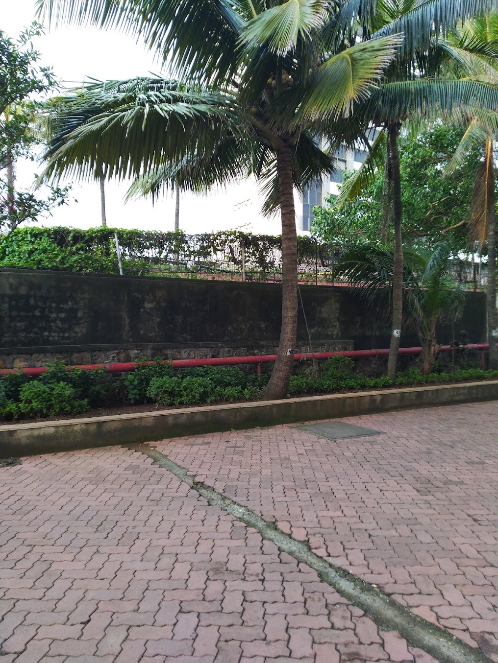 Fr. Rodrigues Mumbai Image 4