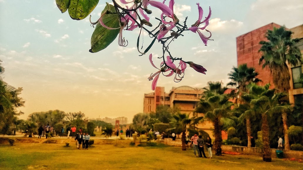 GCET Greater Noida Image 8