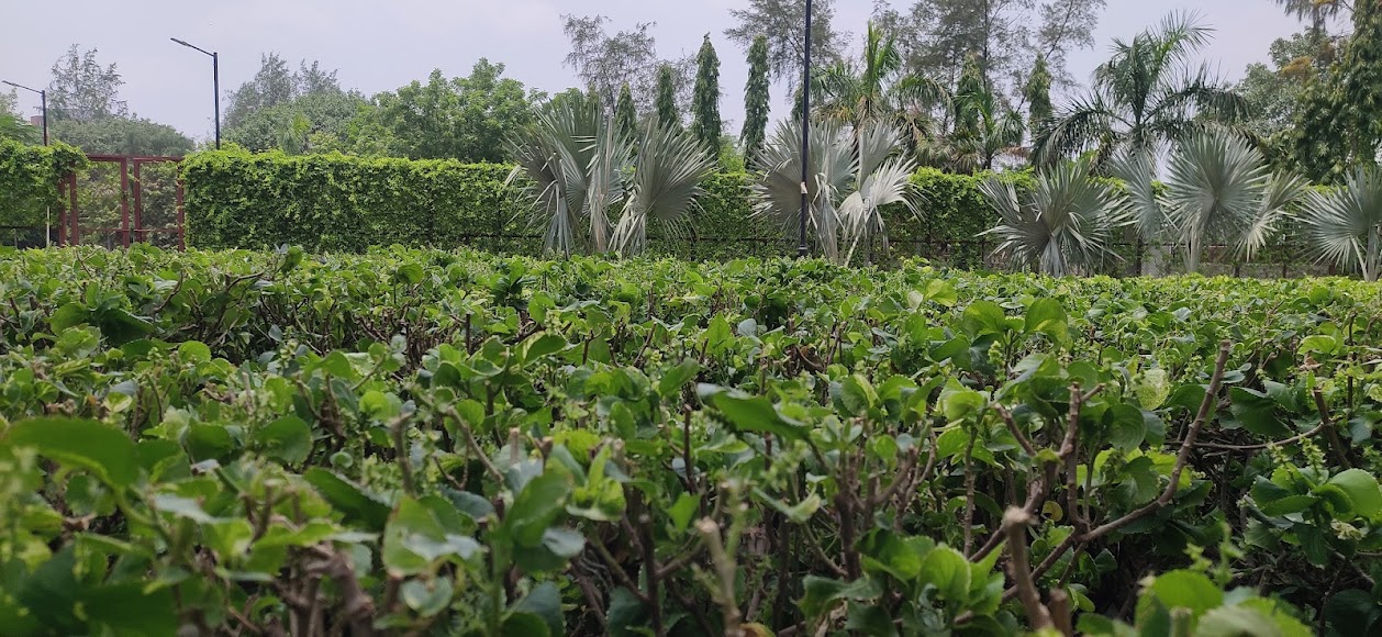 GL Bajaj Greater Noida Image 4