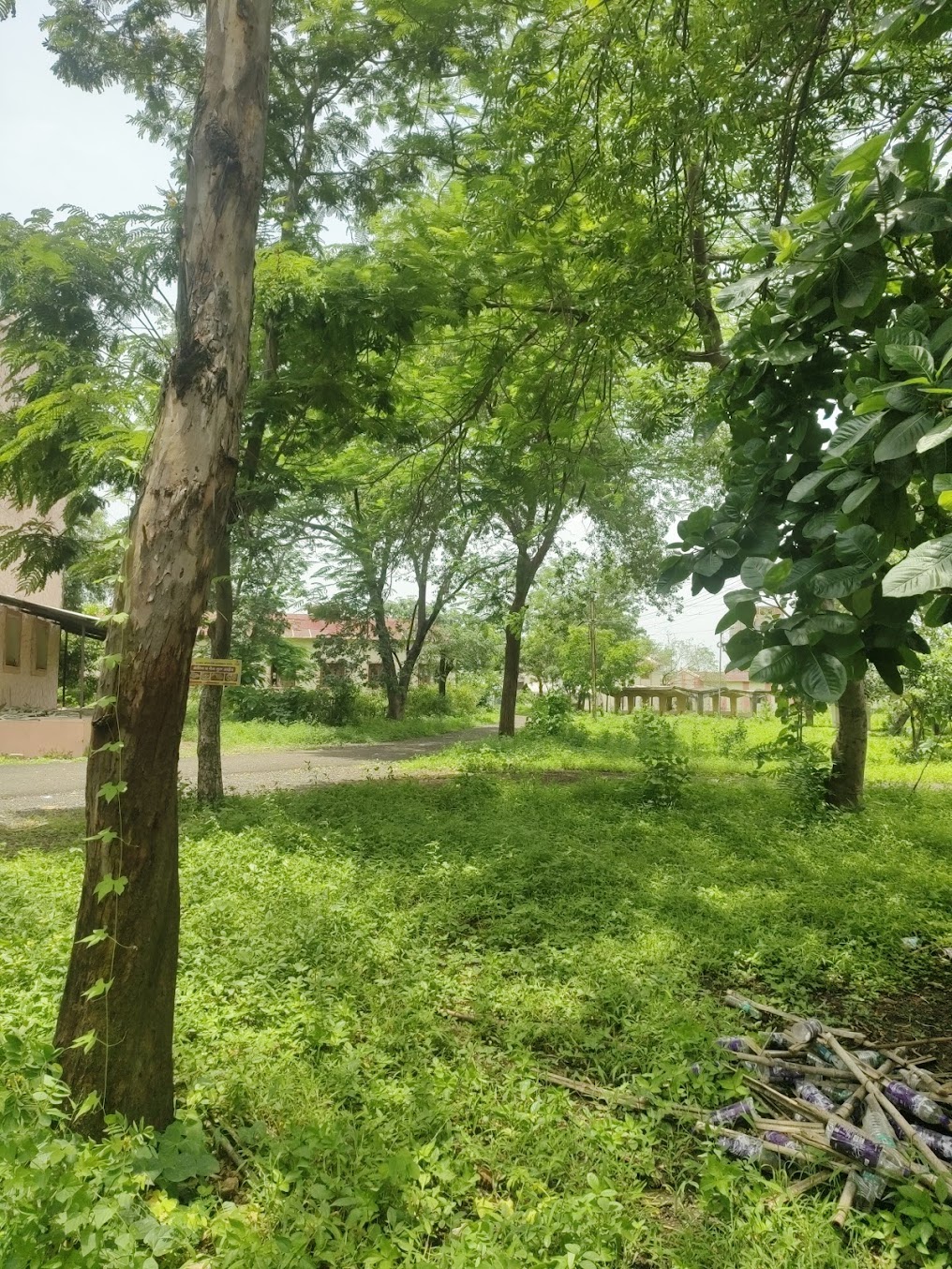 GCOE Yavatmal Image 12