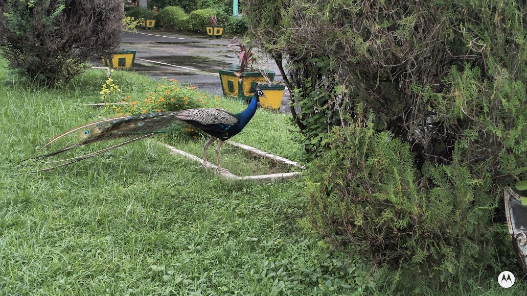 GSV Vadodara Image 4