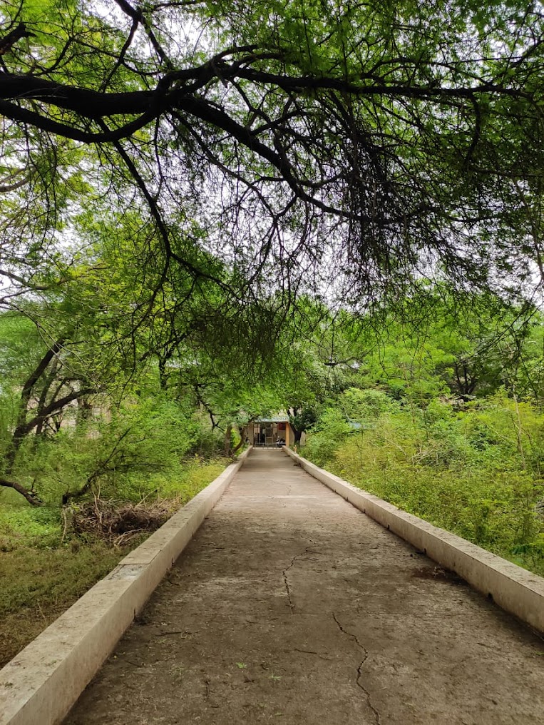 GGV Bilaspur Image 3