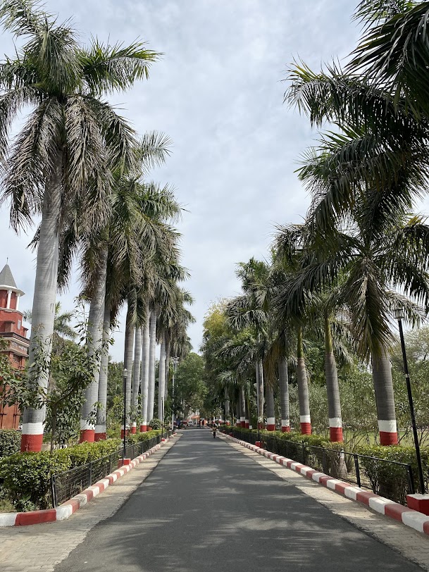 HBTU Kanpur Image 13