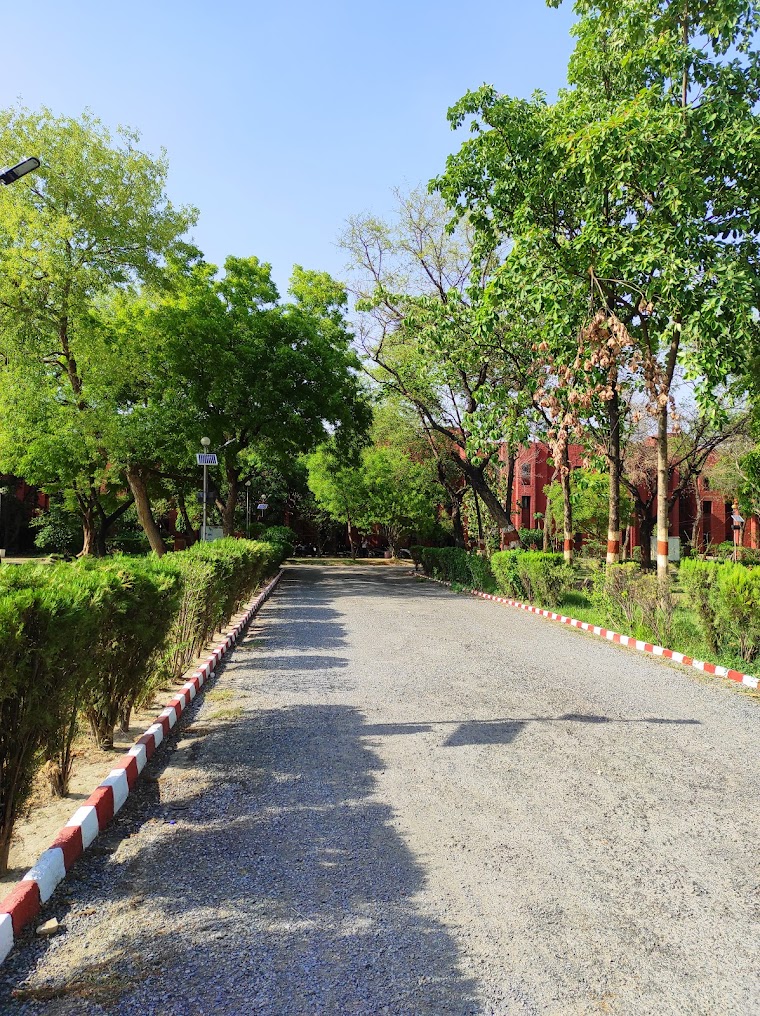 IICT Bhadohi Image 13