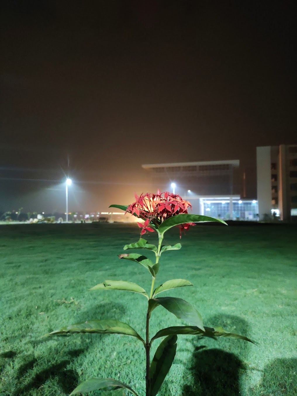 IIIT Lucknow Image 9