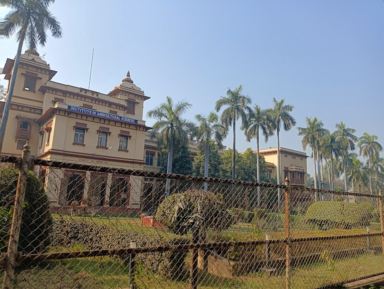 IIT (BHU) Varanasi Image 4