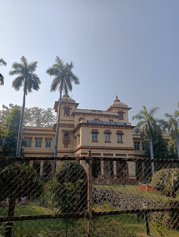 IIT (BHU) Varanasi Image 8
