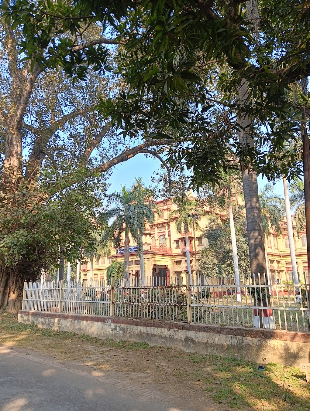 IIT (BHU) Varanasi Image 9