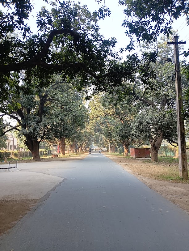 IIT (BHU) Varanasi Image 14