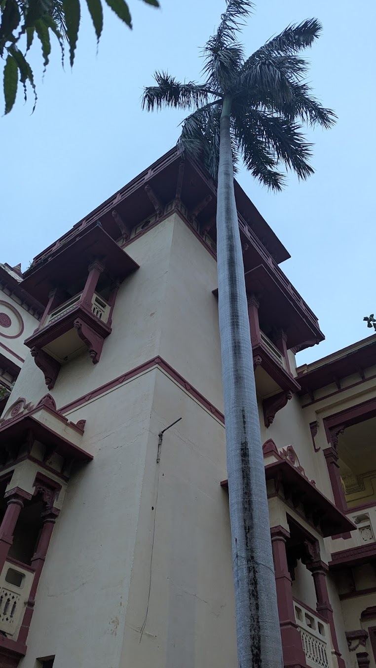 IIT (BHU) Varanasi Image 17