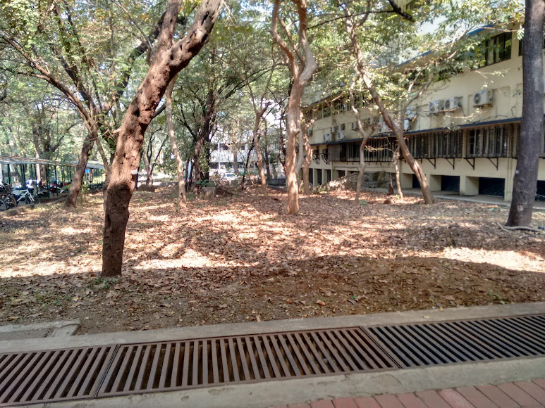 IIT Bombay Image 8