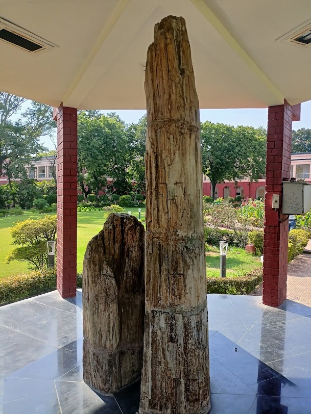 IIT (ISM) Dhanbad Image 6