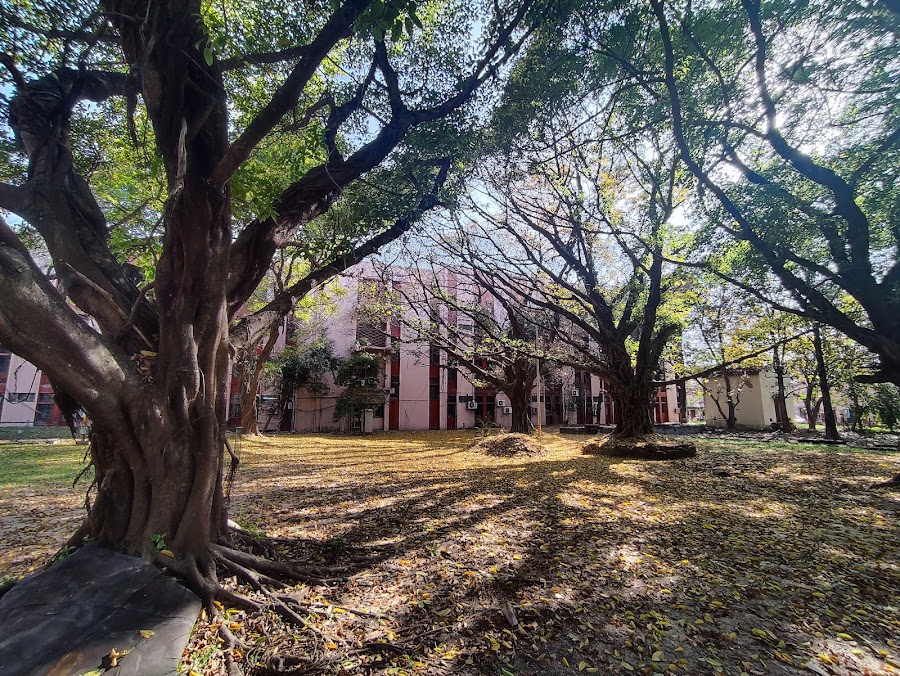 IIT (ISM) Dhanbad Image 15