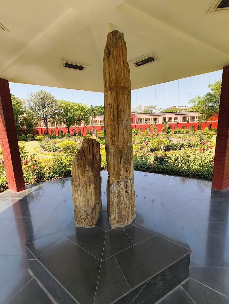 IIT (ISM) Dhanbad Image 17