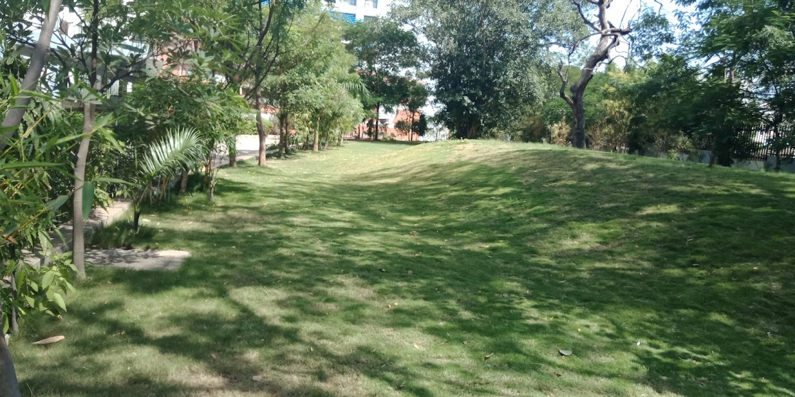 IITRAM Ahmedabad Image 17