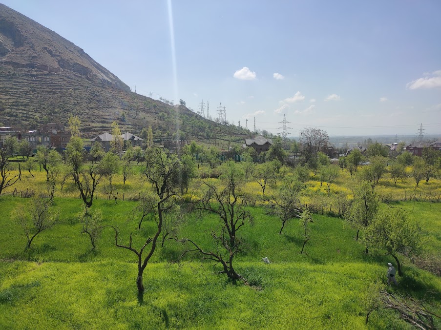 IUST Pulwama Image 23