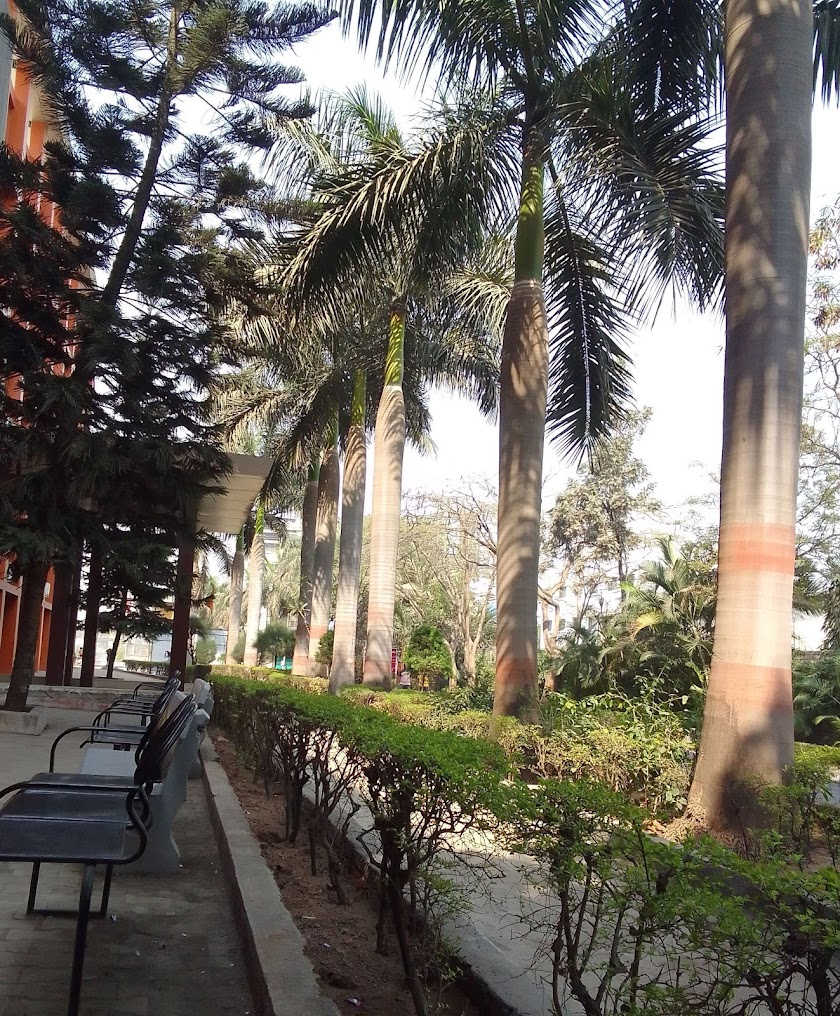 JSPM RSCOE Pune Image 3