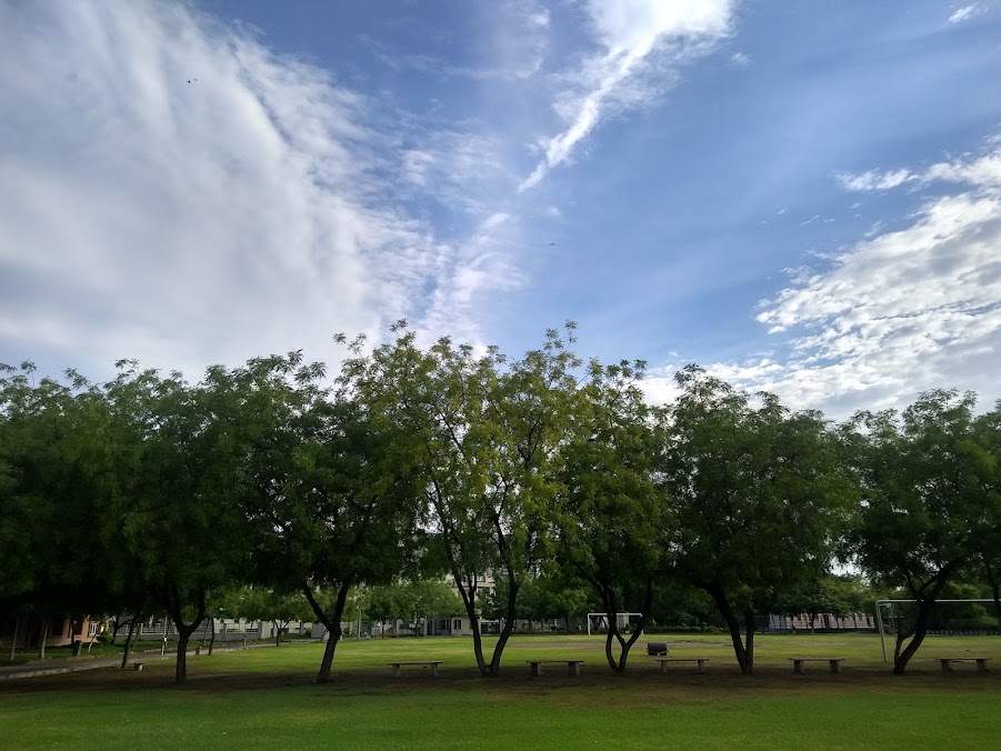 JSSATE Noida Image 2