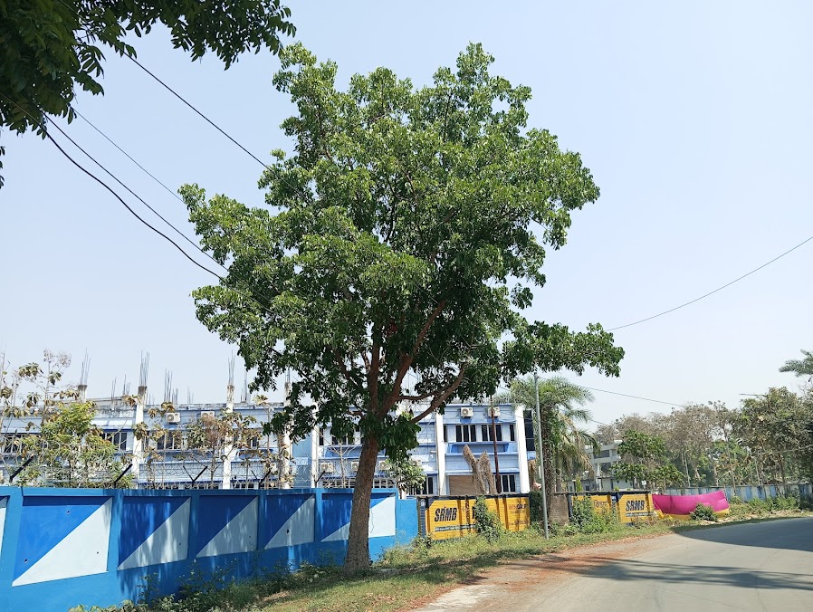 KGEC Kalyani Image 12