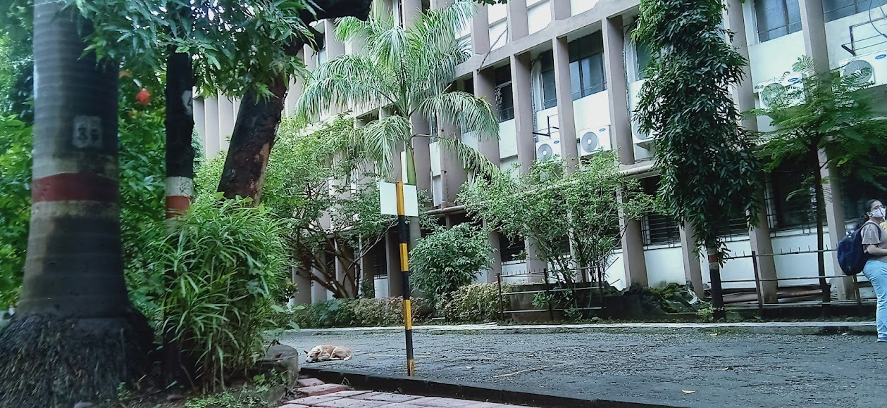 KJ Somaiya Mumbai Image 5