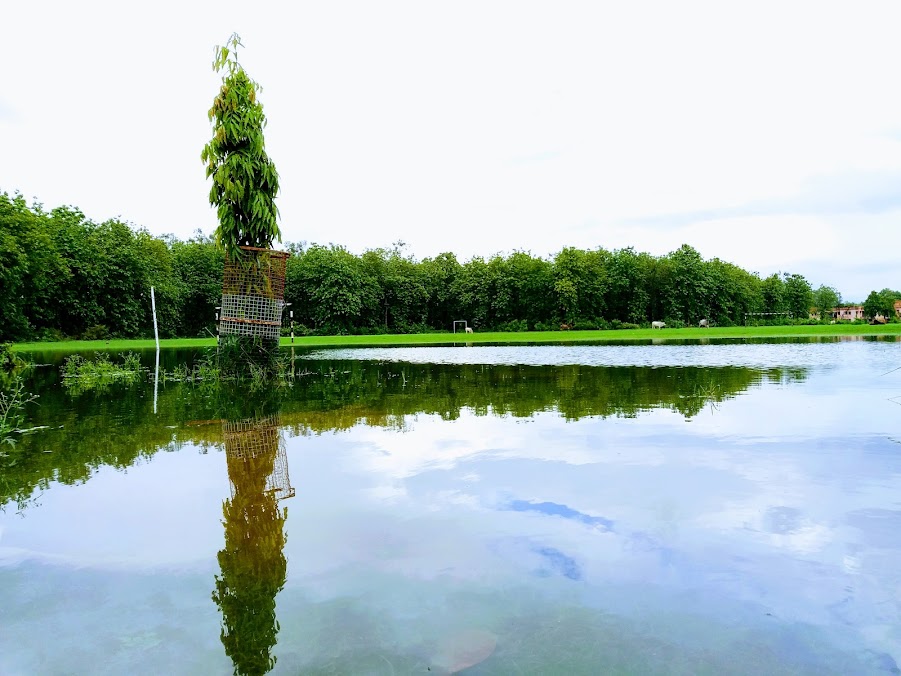 MMMUT Gorakhpur Image 4