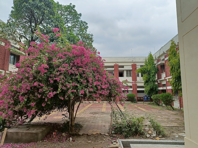 MANIT Bhopal Image 11