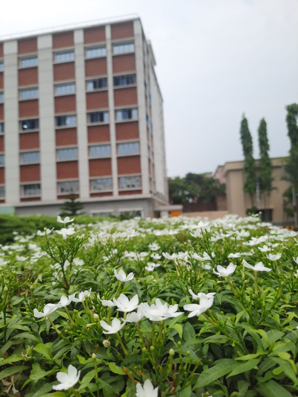 MIT Medinipur Image 14