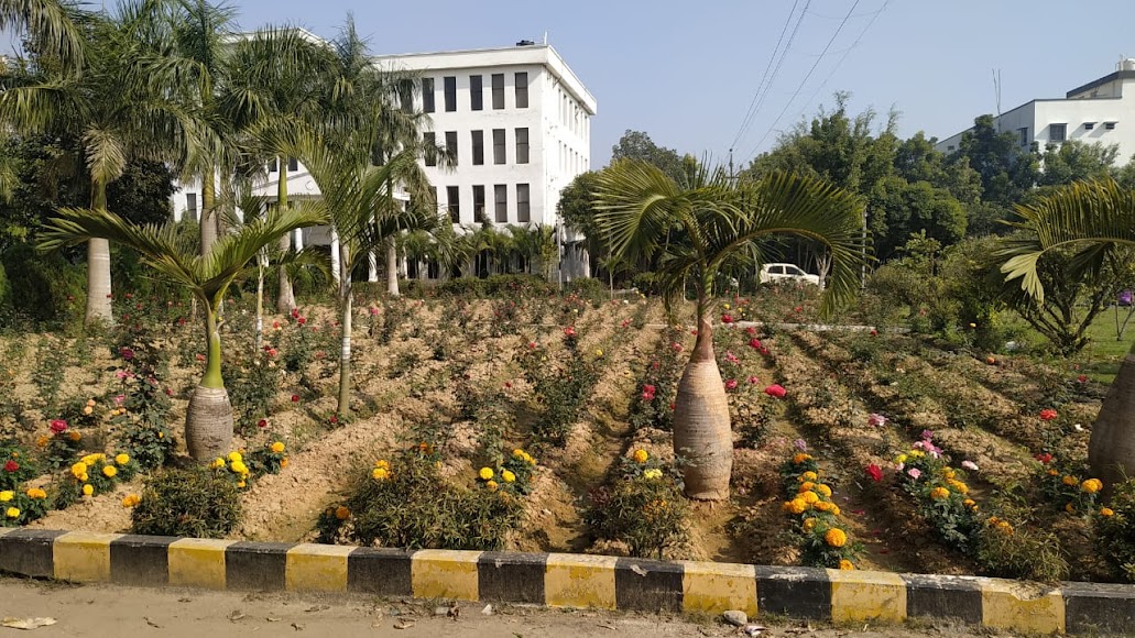 MIT Medinipur Image 27