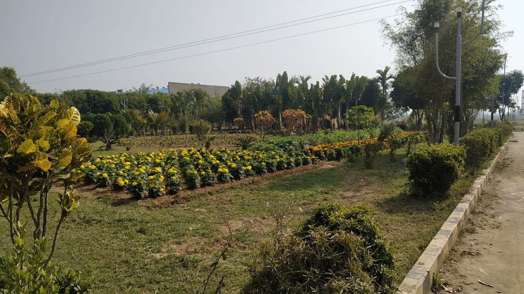 MIT Medinipur Image 28