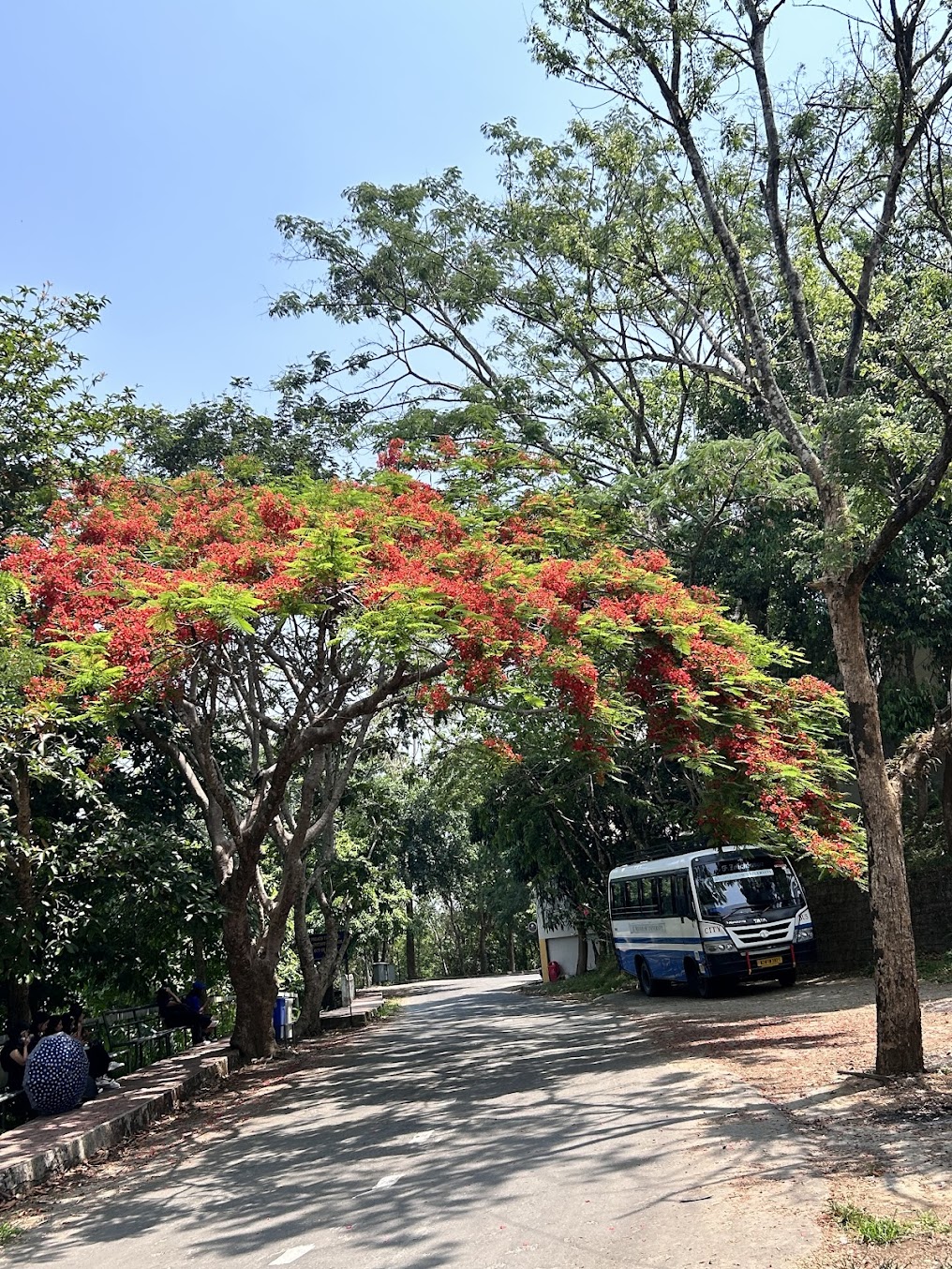 Mizoram University Image 3