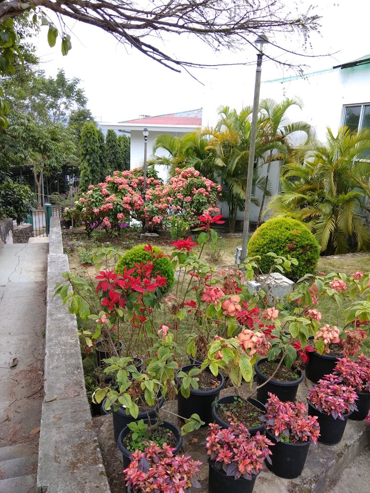 Mizoram University Image 11