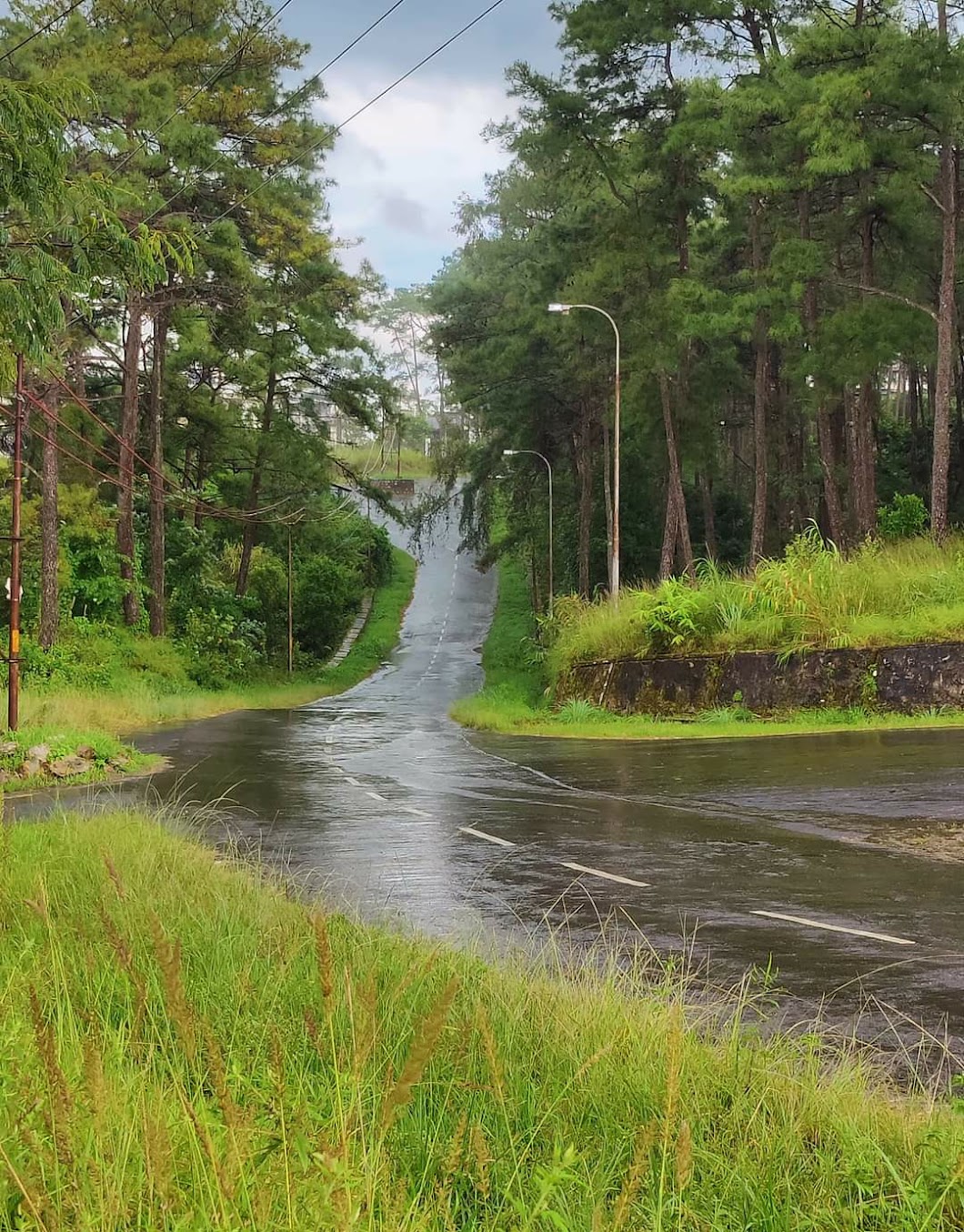 NEHU Shillong Image 4