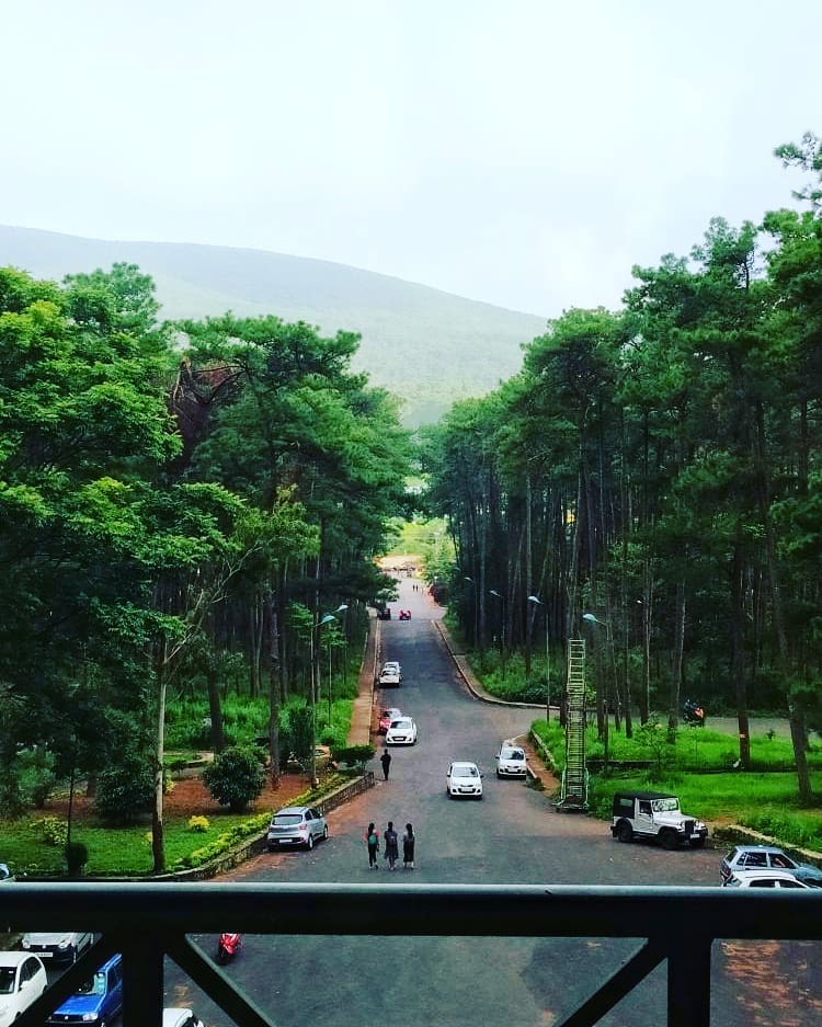 NEHU Shillong Image 11