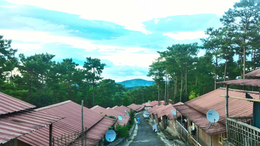 NEHU Shillong Image 12