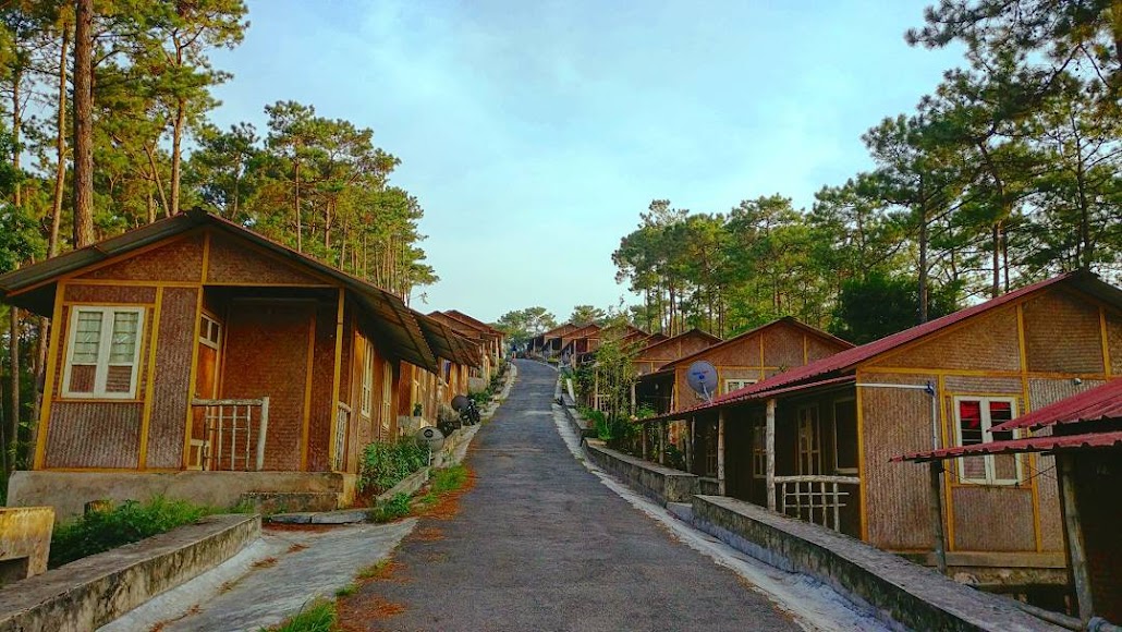 NEHU Shillong Image 20