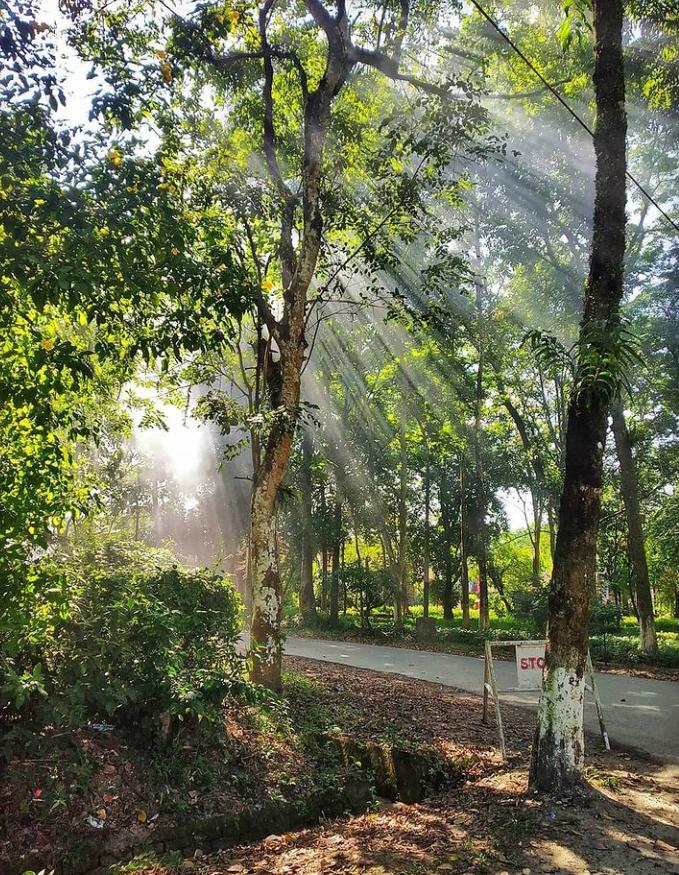 NERIST Nirjuli Image 12